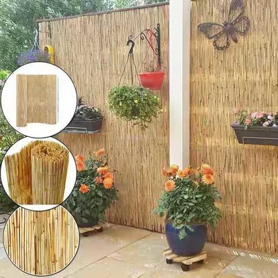 ECO Friendly Decoration Panels Privacy Carbonized Natural Reed Outdoor Garden Fencing